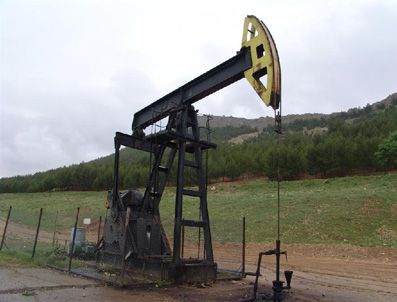 Türkiye'de her üç kuyudan birinde petrol çıktı