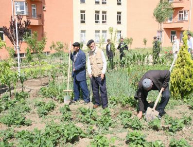 BOZLAK - Huzur Evindeki Yaşlılar Zamanını Hobi Bahçelerine Değerlendiriyor