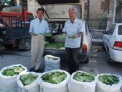 Tokat'ın Meşhur Bağ Yaprağı Tezgahlardaki Yerini Aldı