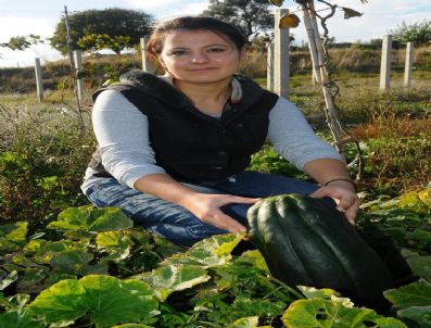 İZMIR TARıM İL MÜDÜRLÜĞÜ - İlk 'Ekolojik Pazar' Açılıyor