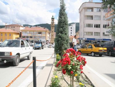 NOHUTLU - Yozgat Belediyesi Park Ve Bahçelere 60 Bin Çiçek Dikti