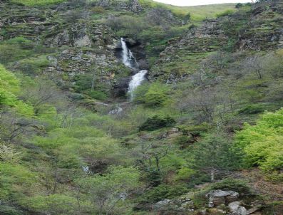 DEMIRCIKÖY - Bir Zamanlar 'Gürül Gürüldü'