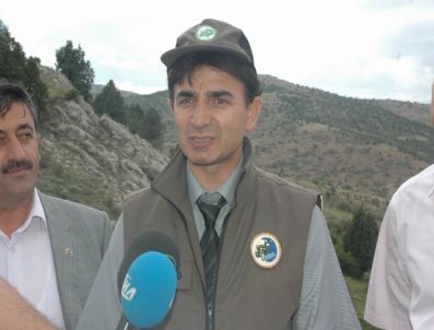 RECEP ÖZTÜRK - Çevre Orman İl Müdürlüğünce Doğaya Keklik Bırakılıyor