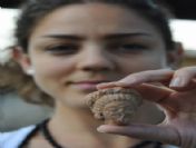 Kale'deki Kazılarda 'Lüle Taşından Pipo' Bile Çıktı