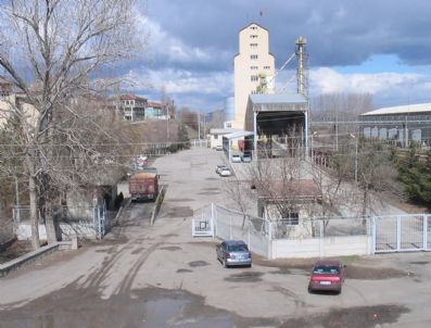 SEKILI - Yozgat'ta Tmo'lar Alım Yapmaya Başladı