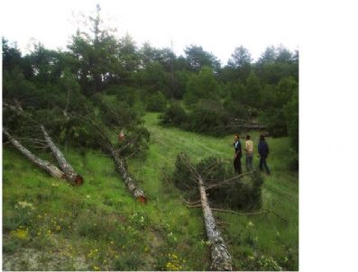ZÜHD - Domaniç'de Şehit Saru Batu Savcı Bey'in Kabrine Yol