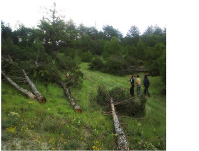 Domaniç'de Şehit Saru Batu Savcı Bey'in Kabrine Yol