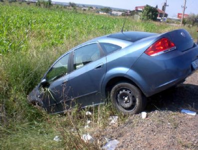 İSTANBUL BAROSU - Köpek Yüzünden Su Kanalına Uçtu