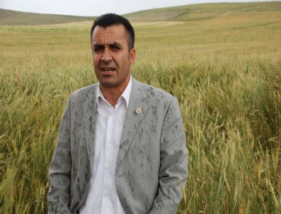 TMO - Malazgirt Çiftçisi Tmo Şubesi İstiyor