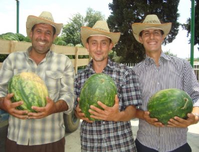 Ödemişli Karpuz Üreticisi Zor Durumda