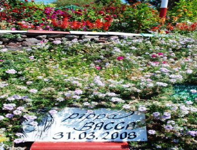 PIPPA BACCA - Pippa Bacca'nın Adı İzmir'de Yaşayacak