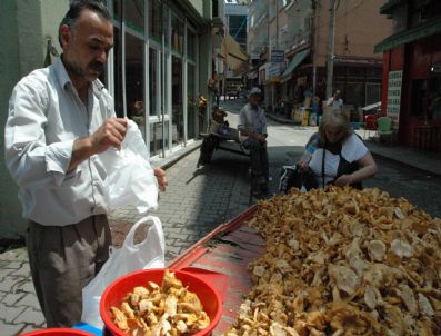 Giresun'da Pazar Esnafının Yüzünü Kilosu 5 Tl'den Satılan Mantarlar Güldürüyor