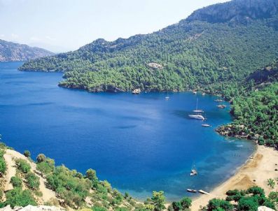 ÇEVRE VE ORMAN İL MÜDÜRLÜĞÜ - Koylarda Denetimler Arttırılacak