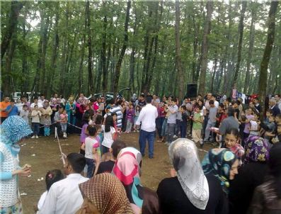 ULUCAK - Koyulhisar Çaylı Köyü Derneği İstanbul'da Piknik Şöleni Düzenledi