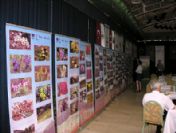 Erzurum'un Yüksek Dağ Çiçekleri Akdeniz Kumsalında