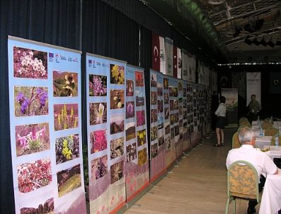 DUMLU - Erzurum'un Yüksek Dağ Çiçekleri Akdeniz Kumsalında