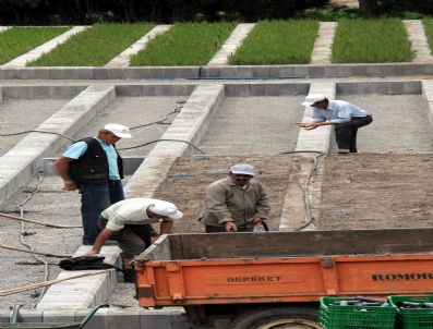 Sivas'ta 15 Milyon Fidan Toprakla Buluştu