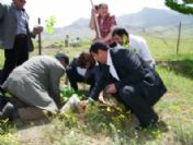 Van Kent Konseyi'nden Bostaniçi Beldesinde Fidan Dikimi