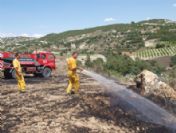 Yemek Yaparken Buğday Tarlasını Yaktı