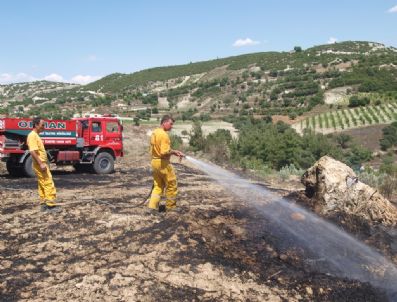 Yemek Yaparken Buğday Tarlasını Yaktı