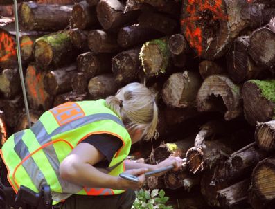 Germany Female Corpse Found