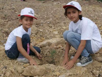 Soma'da 35 Adet Fıstık Çamı Toprakla Buluştu