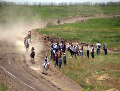 Erciş İnci Kefali Göçü Kültür-sanat Festivali Devam Ediyor