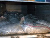 Van'da 13 Bin 550 Kilo Kaçak Avlanmış Balık Ele Geçirildi