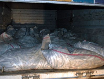 Van'da 13 Bin 550 Kilo Kaçak Avlanmış Balık Ele Geçirildi