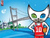 2010 Dünya Basketbol Şampiyonası'na Doğru