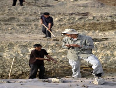 SHANDONG - Chına Dınosaur Fossıls