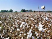 Fark Ödemeleri İçin Başvurular Nisan 2011'de Sona Erecek