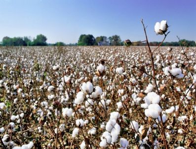 Fark Ödemeleri İçin Başvurular Nisan 2011'de Sona Erecek