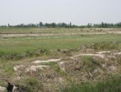 Iğdır'da İlginç Bir Tapu Anlaşmazlığı