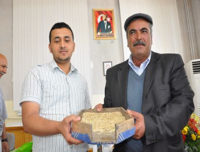 MEHMET YÜCE - Karaman'da İlk Mahsul Arpa Satıldı