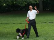 Usa Obama Congress Pıcnıc