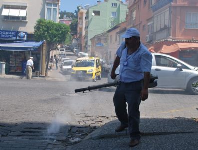 Aydın Belediyesi'nin Haşerelere Karşı Çalışması Devam Ediyor