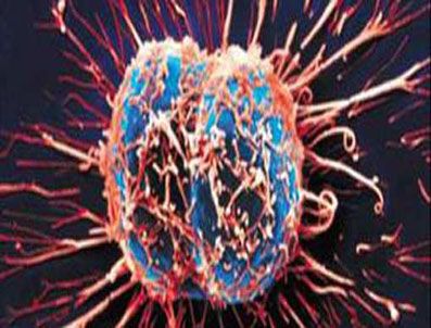 Bilecik'te kanser taraması: 63 vaka tespit edildi