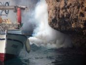 Sinekle Mücadelede Bilimsel Yöntemler