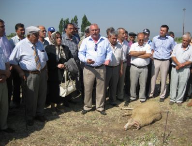 BIRGI - Birgi'nin Yeni Eğitim Yuvası İçin İlk Kazma Vuruldu