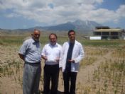 Develi'de Kanola Ve Çemen Ekimi Yapıldı