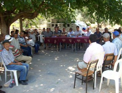 FAŞIZM - Milas Chp, Referandum Çalışmalarına Köylerden Başladı