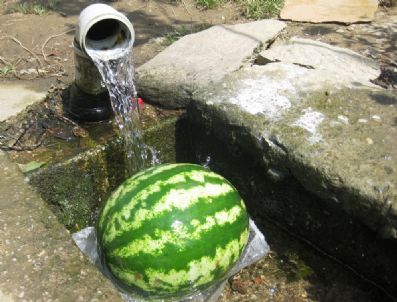 BIRGI - Ödemiş'te Pazar Sessizliği: Ya Yayla'ya Ya Da Ada'ya