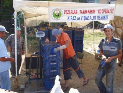 Bir Bardak Çay Fiyatına Bir Kilo Vişne