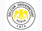 Selçuk Erasmus'ta ilk 5'e girdi