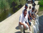Aydın'da 16 Azmak Ve Göletlere 84 Bin Balık Yavrusu Bırakıldı