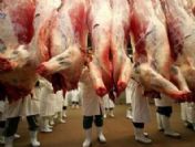 Et ihalesinde teklif 200 milyon dolara düştü