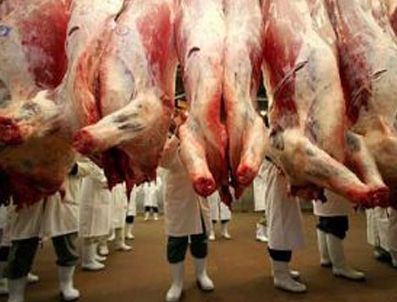 Et ihalesinde teklif 200 milyon dolara düştü