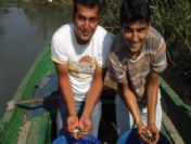 Kocagöl'e 50 Bin Pullu Sazan Balığı Yavrusu Bırakıldı