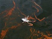 BP: Körfezdeki petrol akışı ilk kez durdu